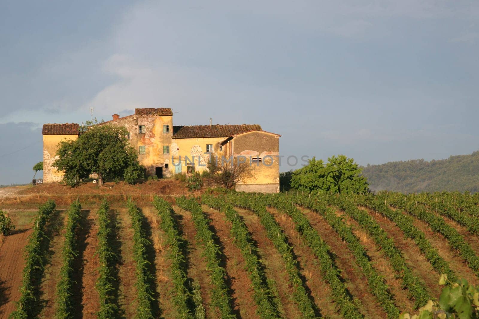 Tuscany winery