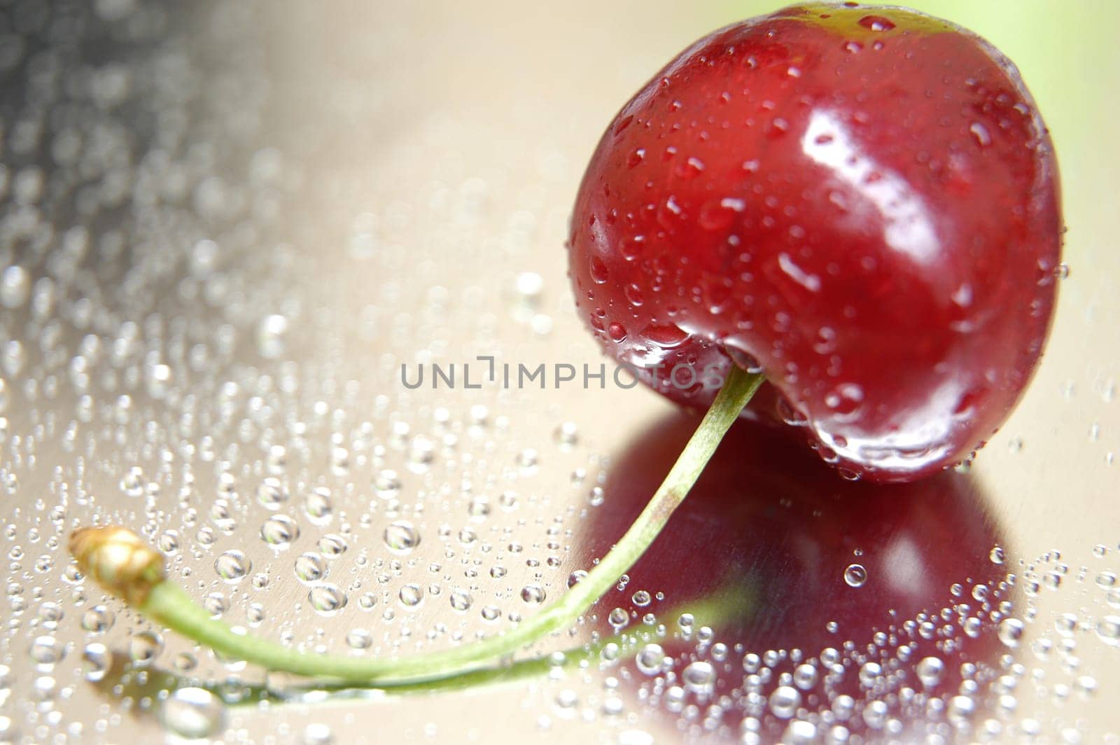 Wild cherry