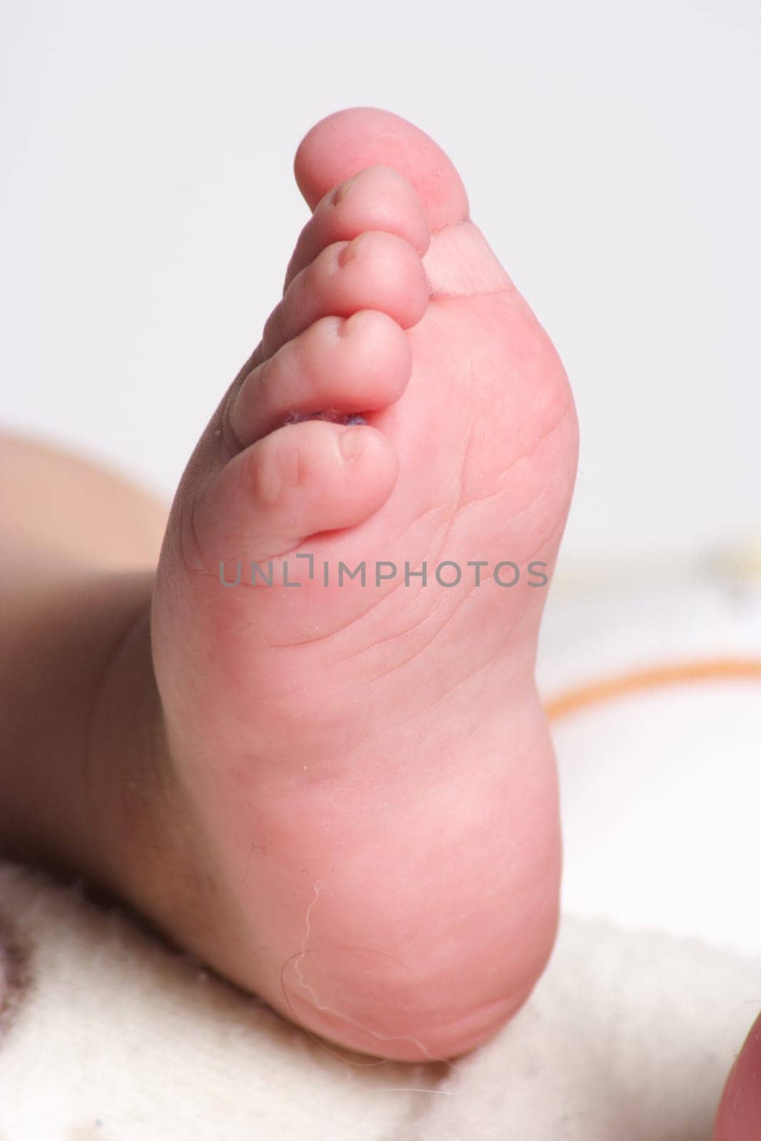 The close-up of a baby's foot