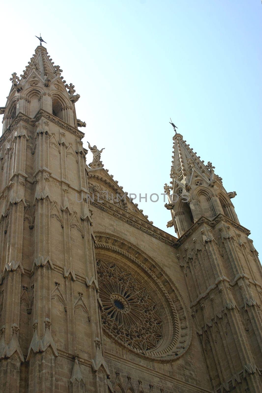 Palma Cathedral