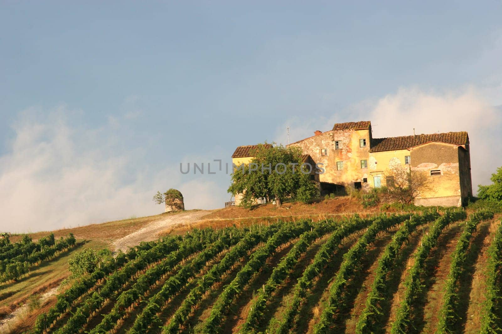 Old Winery2