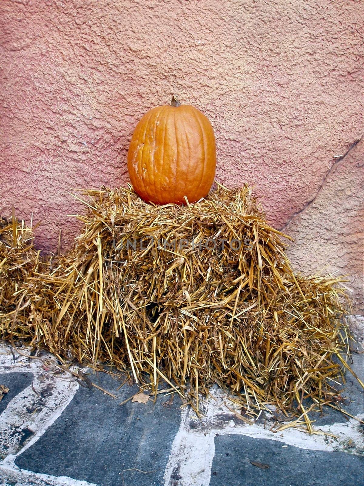 Pumpkin
