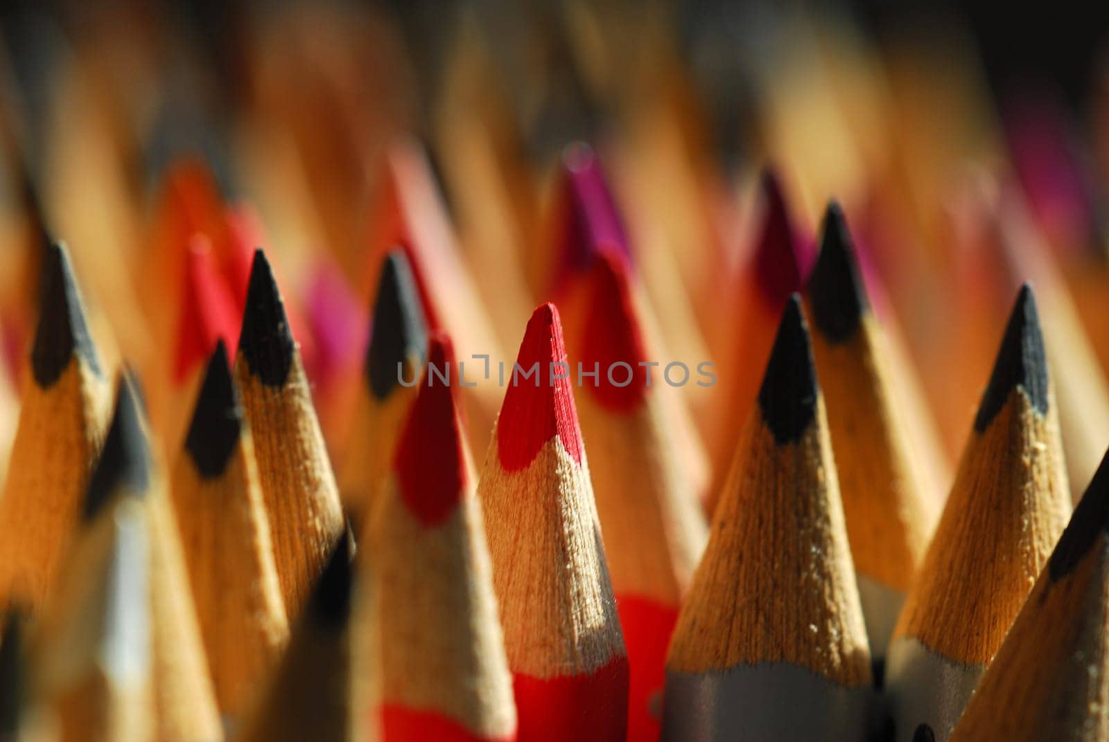 colorful pencils II