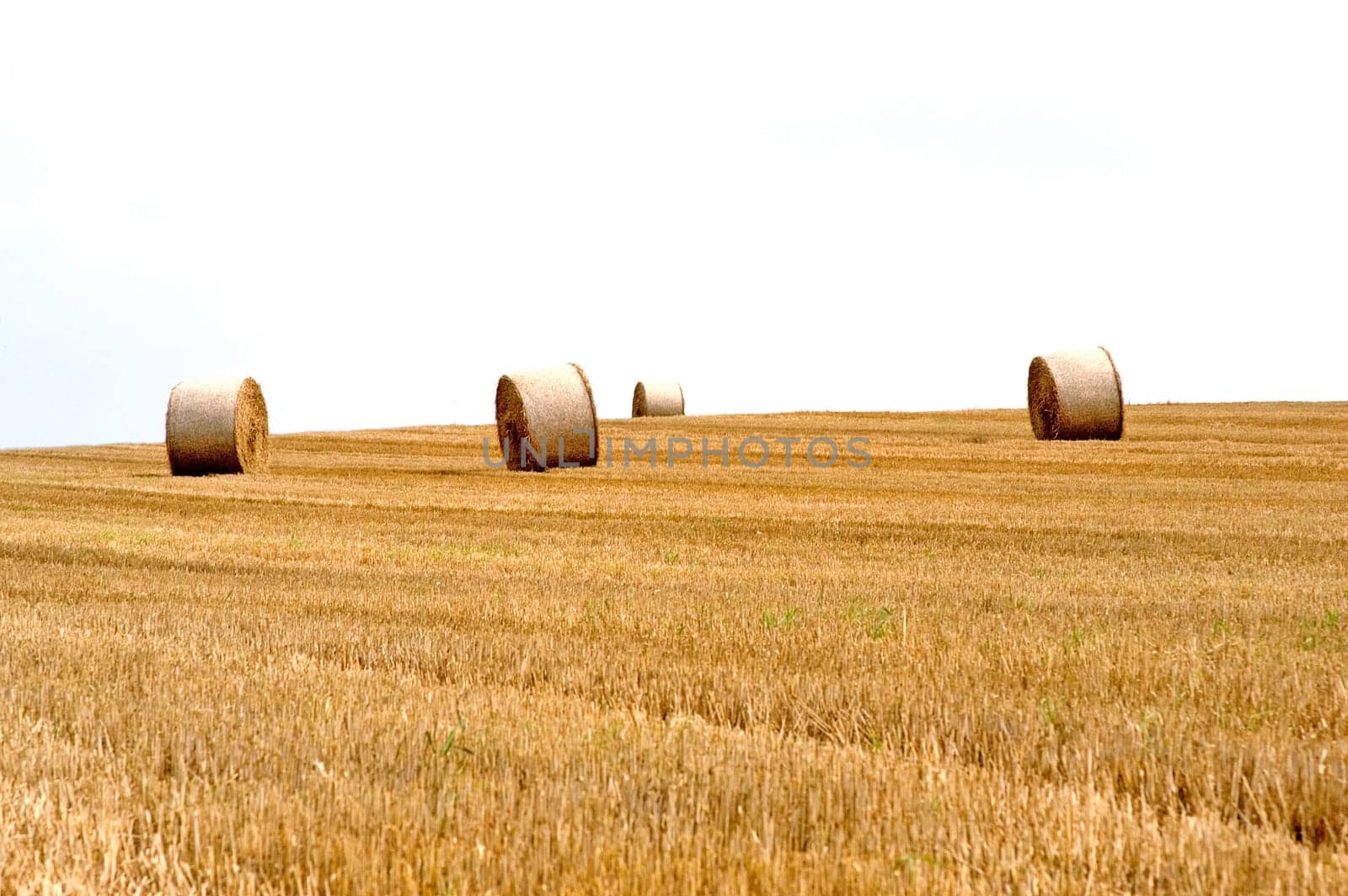 Straw bales 01