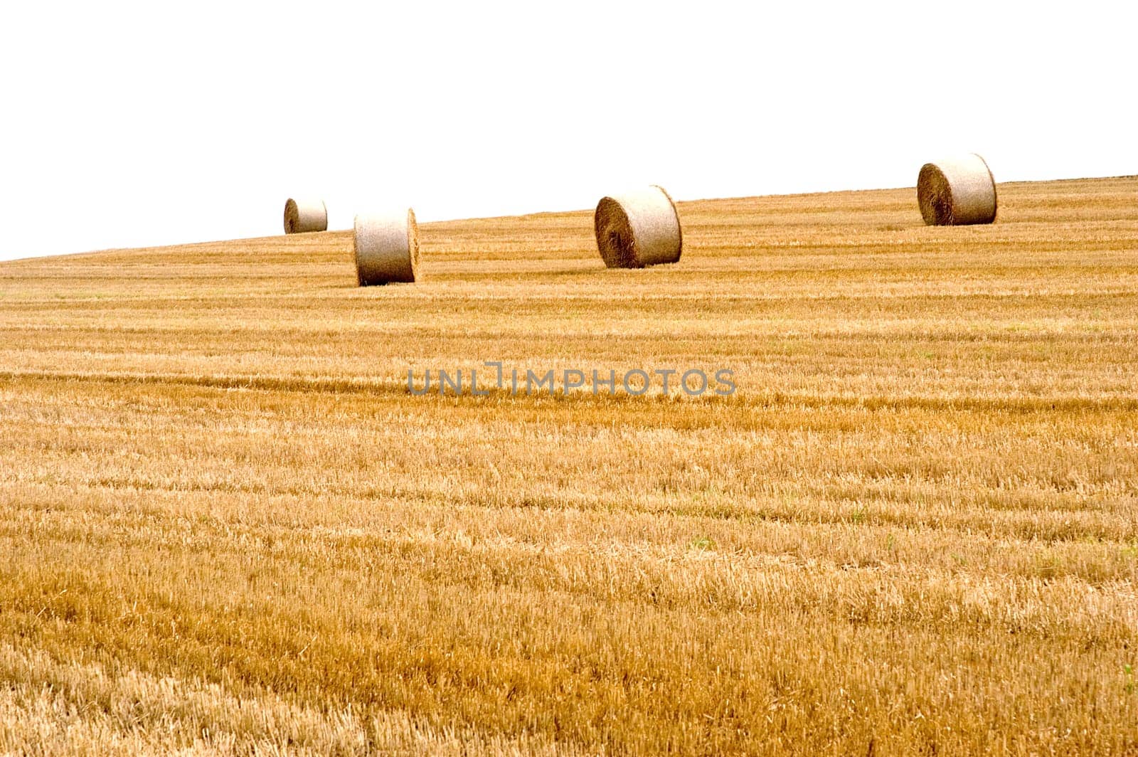Straw bales 02