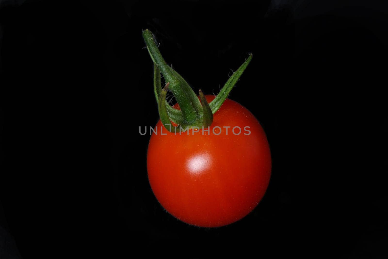 Tomato