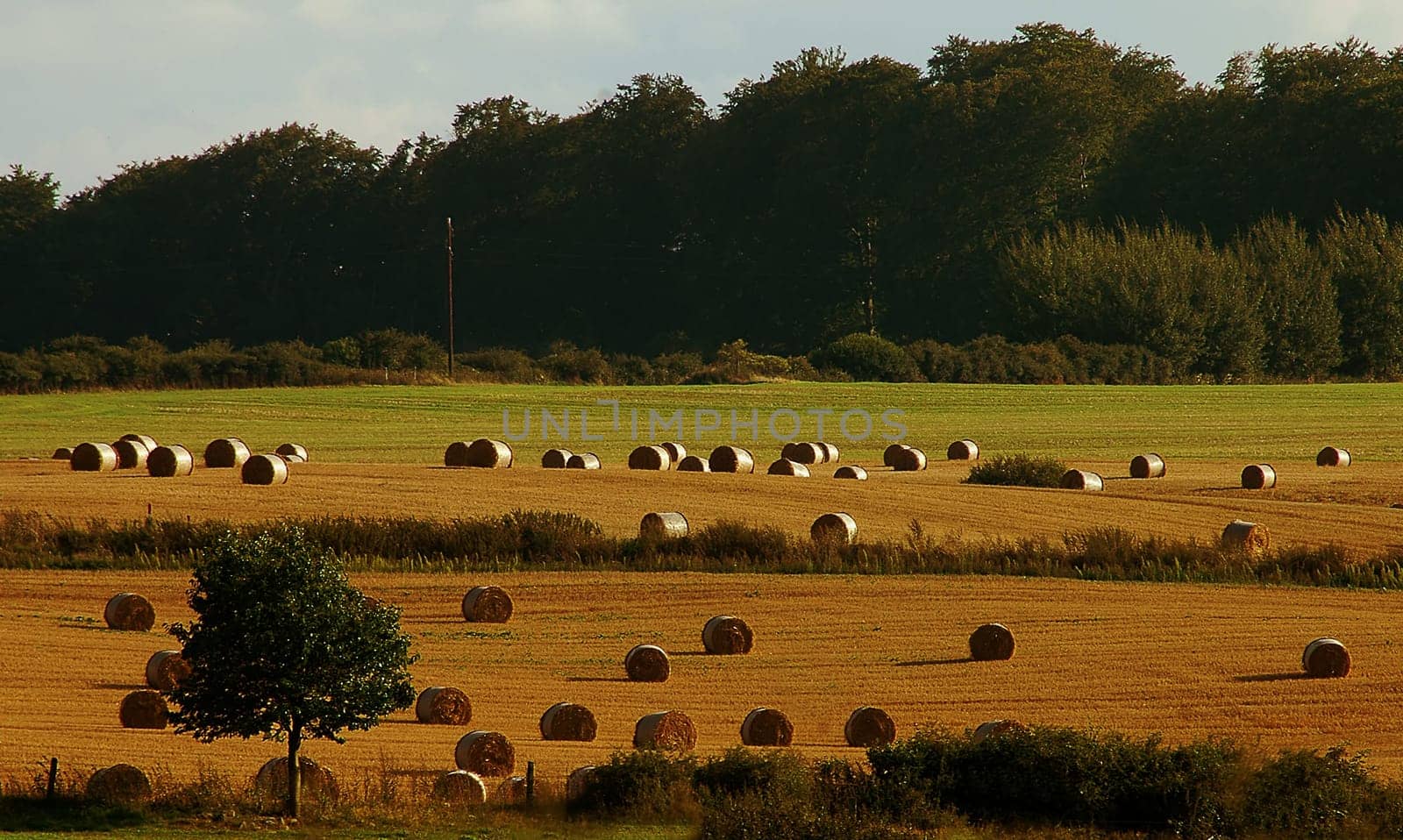 The picture is once again very up-to-date from tonight! We still haven't cleared away all the straw bales....!