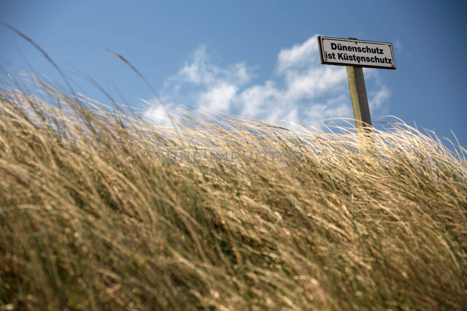 Dune protection on the North Sea coast