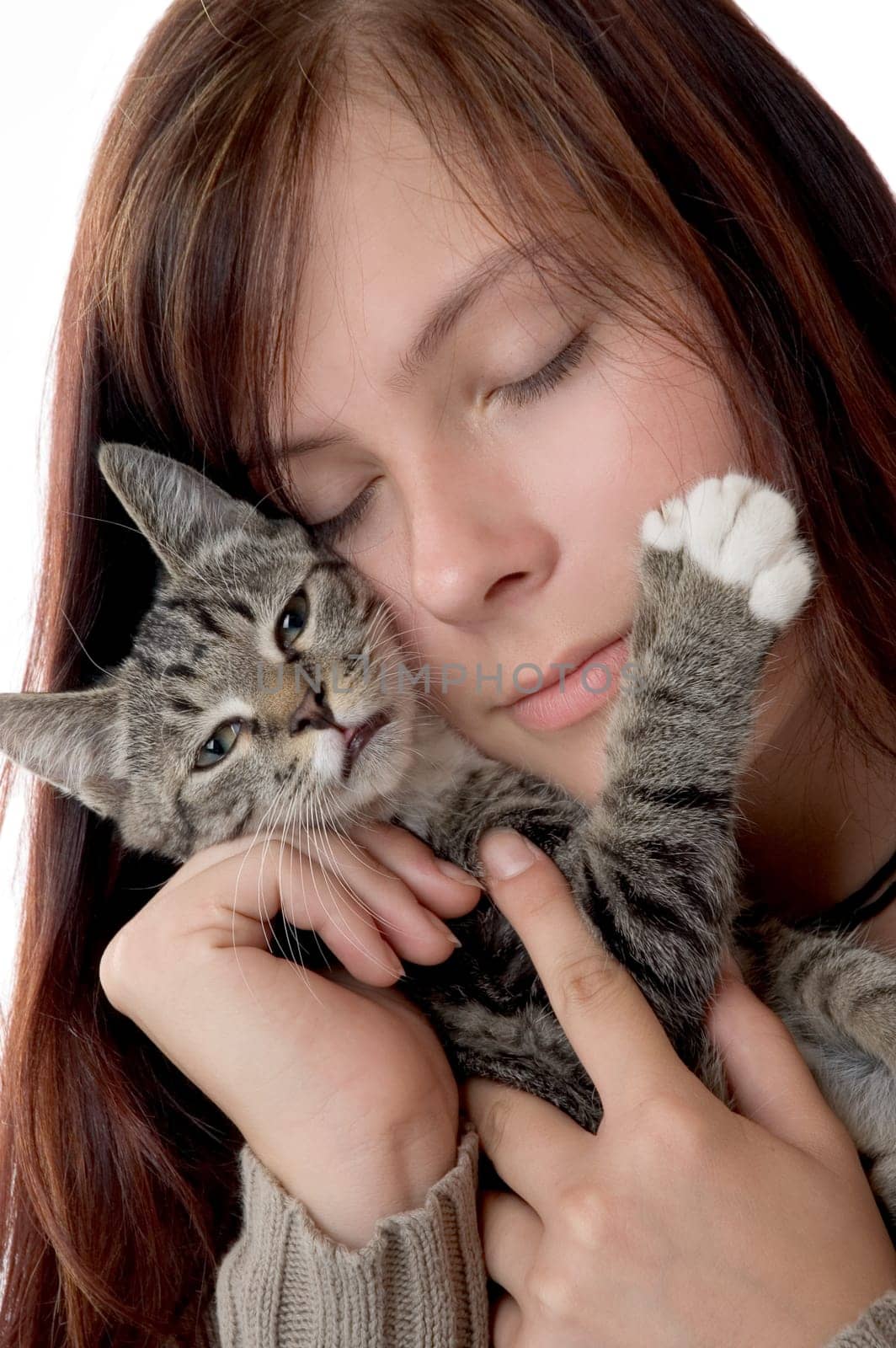 Cuddly cat