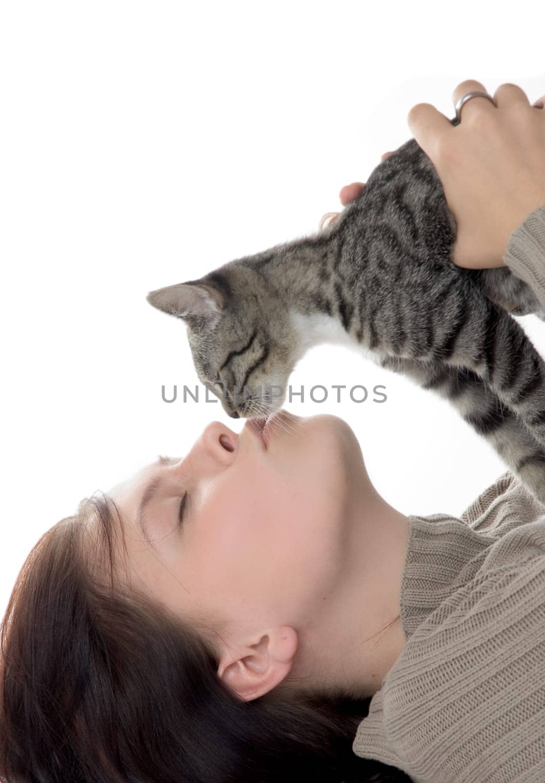Cuddly cat