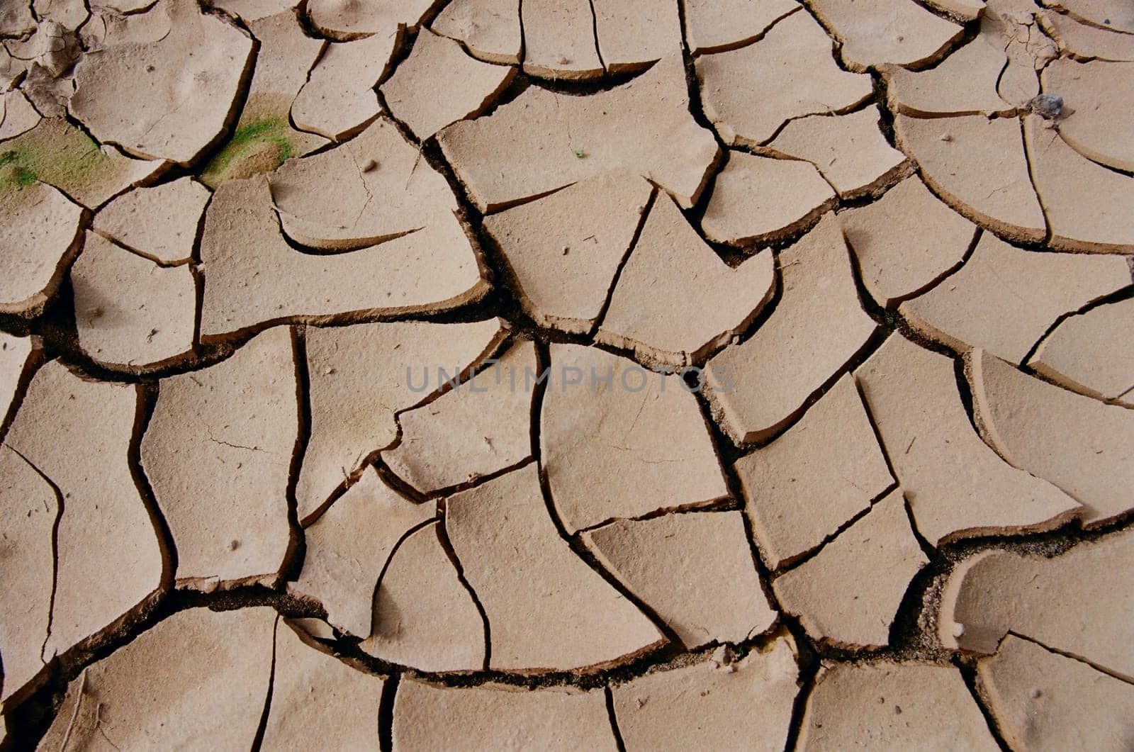 Traces of the rain