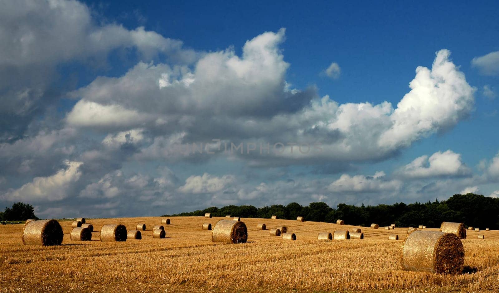 Evening in the countryside