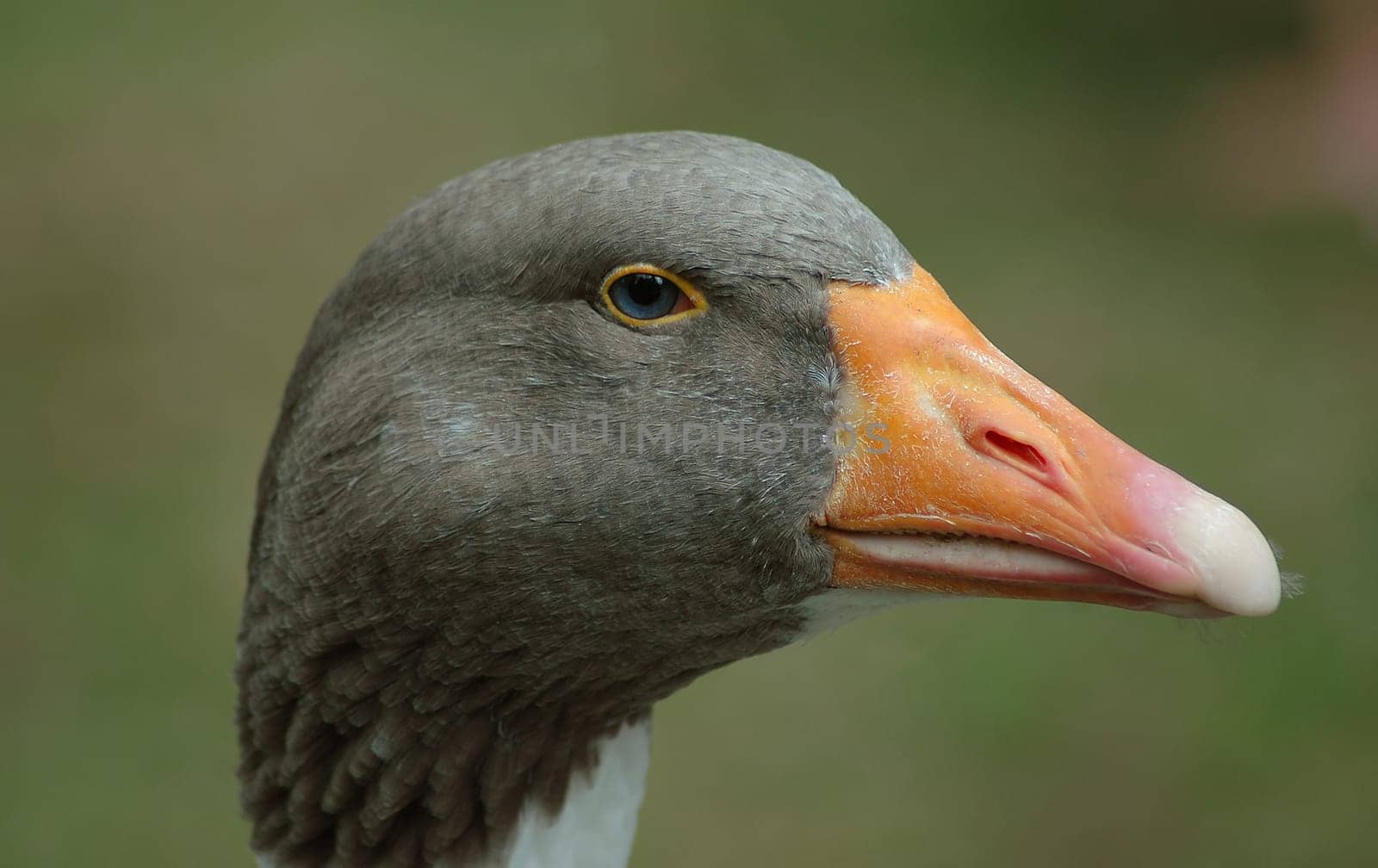 From the farm I was under constant surveillance....!
