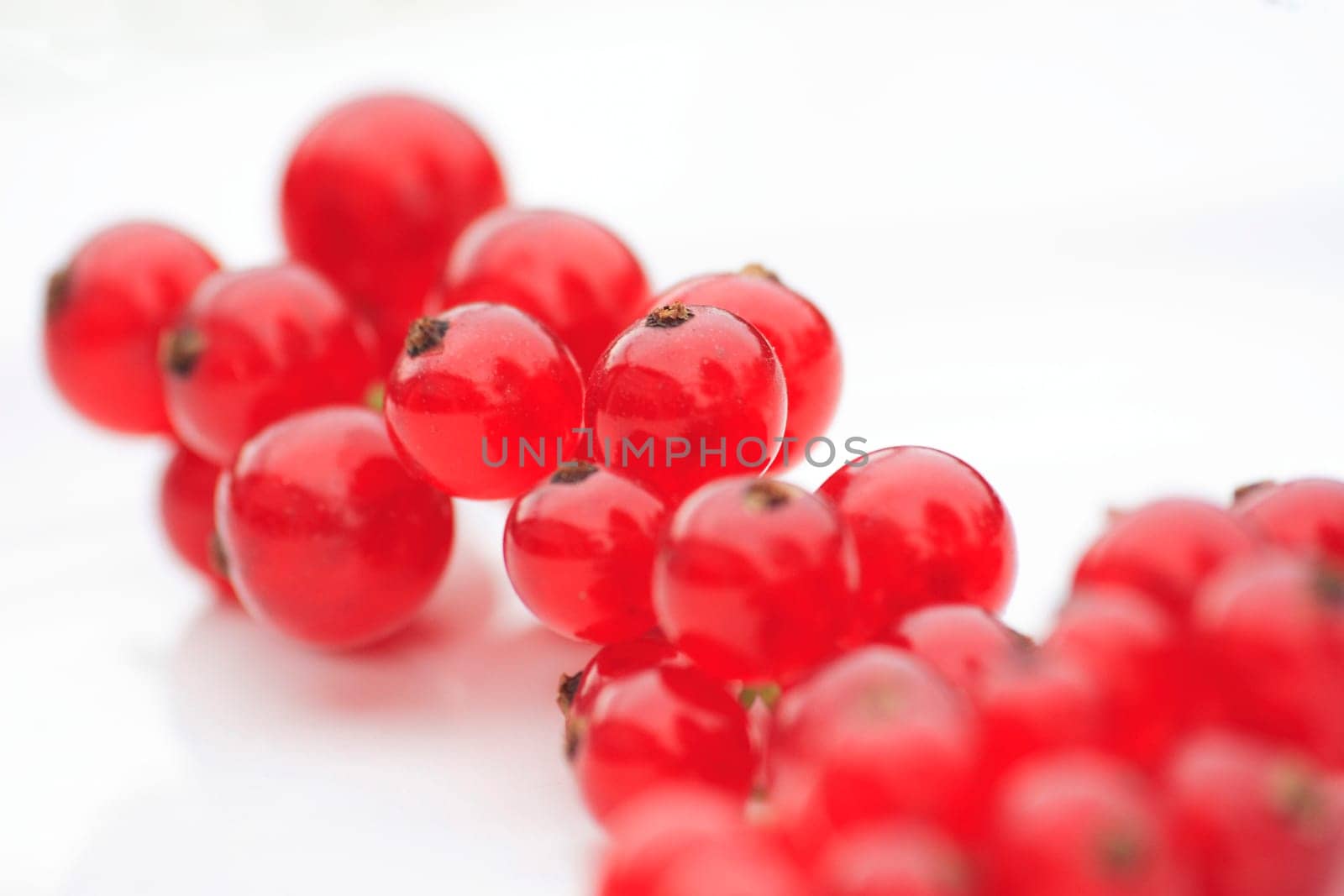 Ribes rubrum