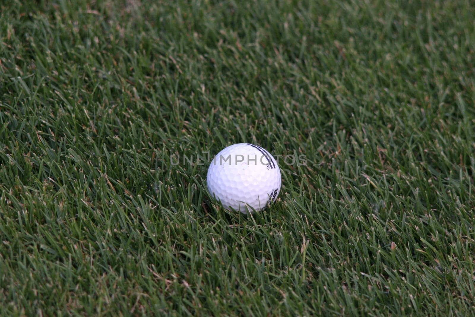Golf ball