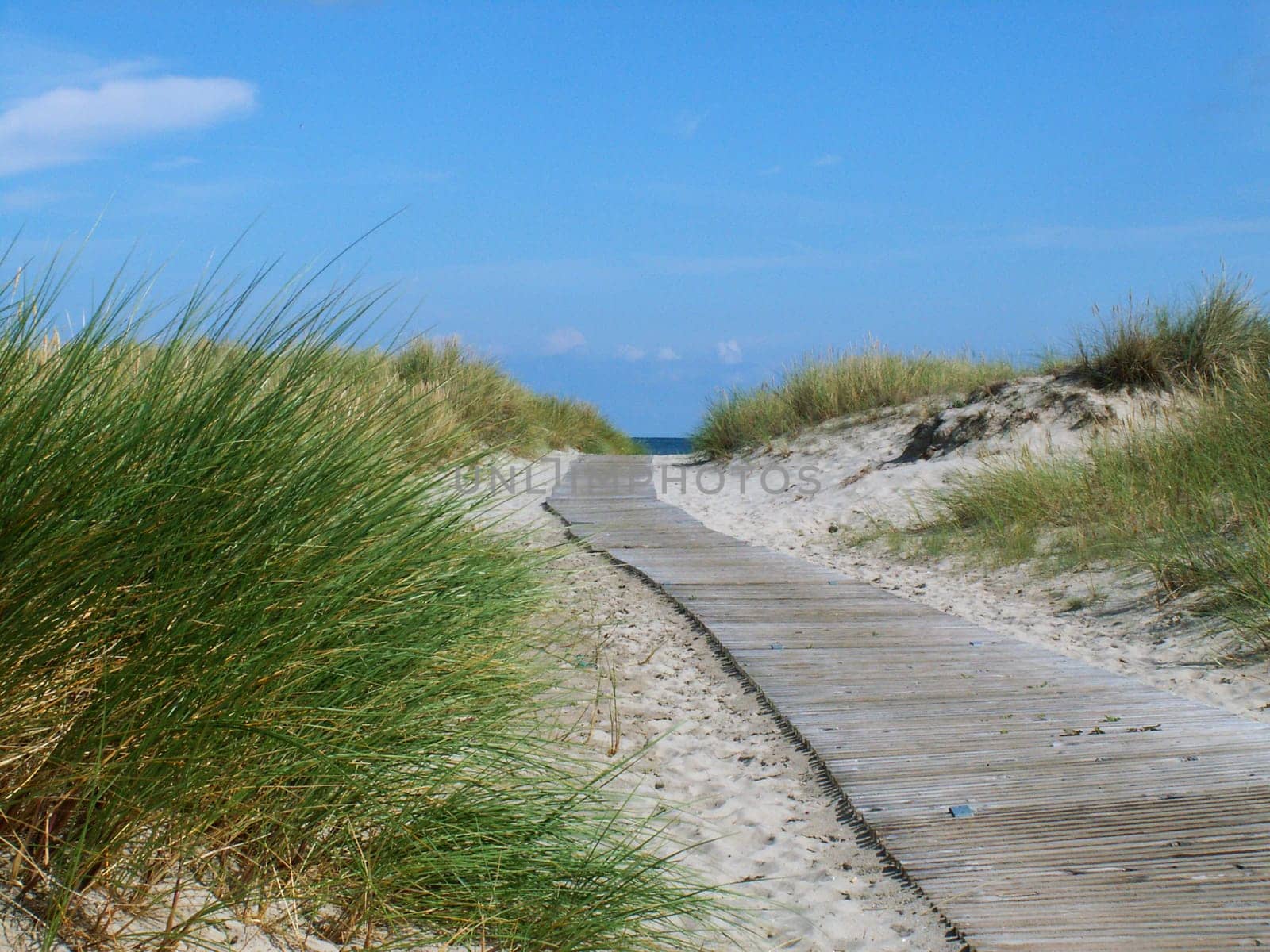 Jetty to the sea