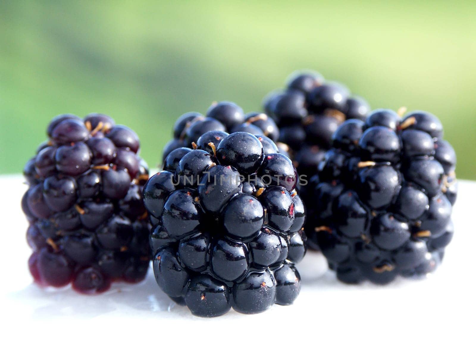 Blackberries