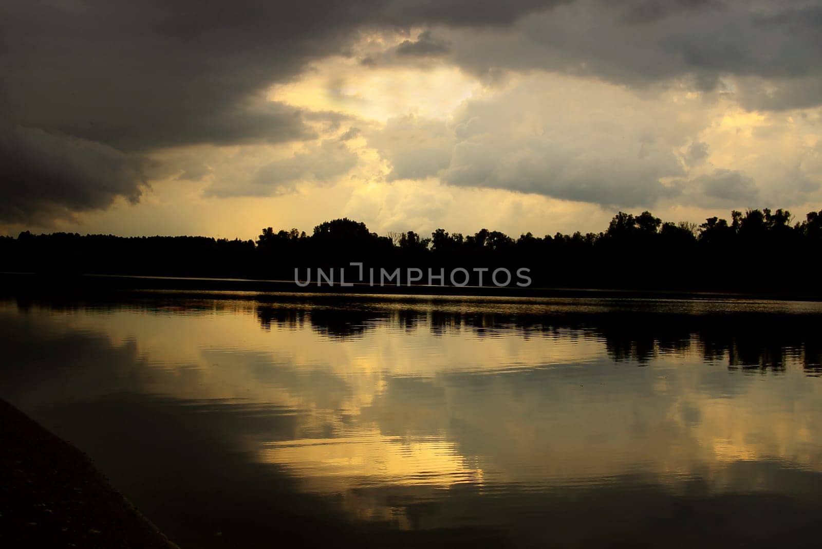 recorded tonight on the Old Rhine (Kühkopf)