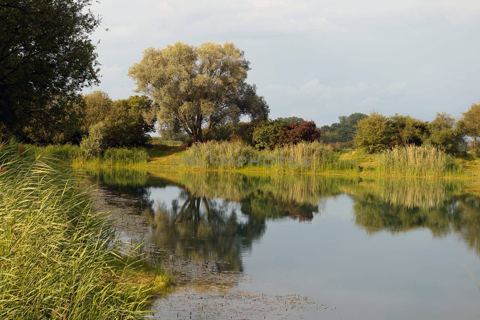 Kühkopf-Knoblochsaue on the Old Rhine