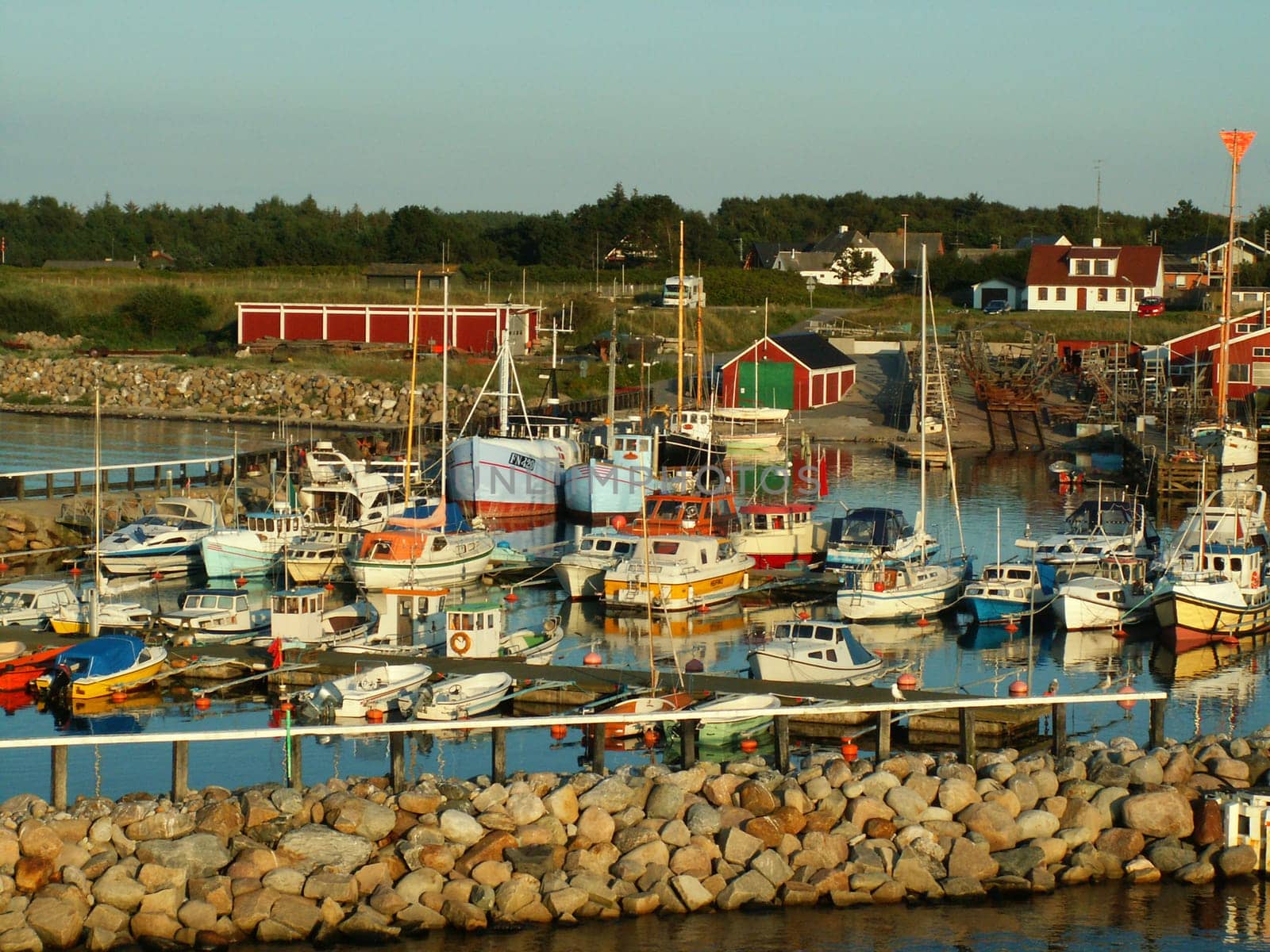 Harbor evening