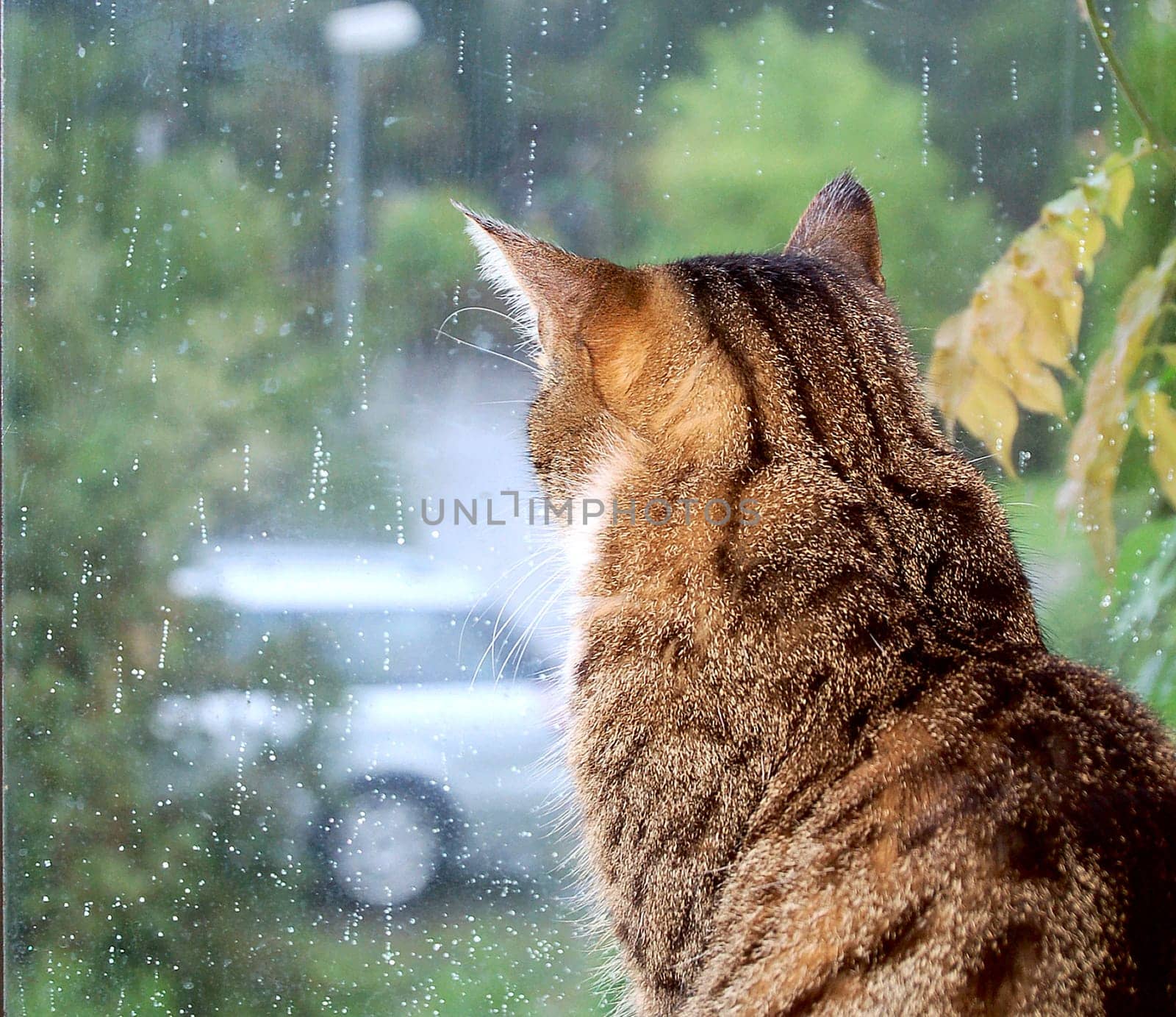 Such a crap weather
