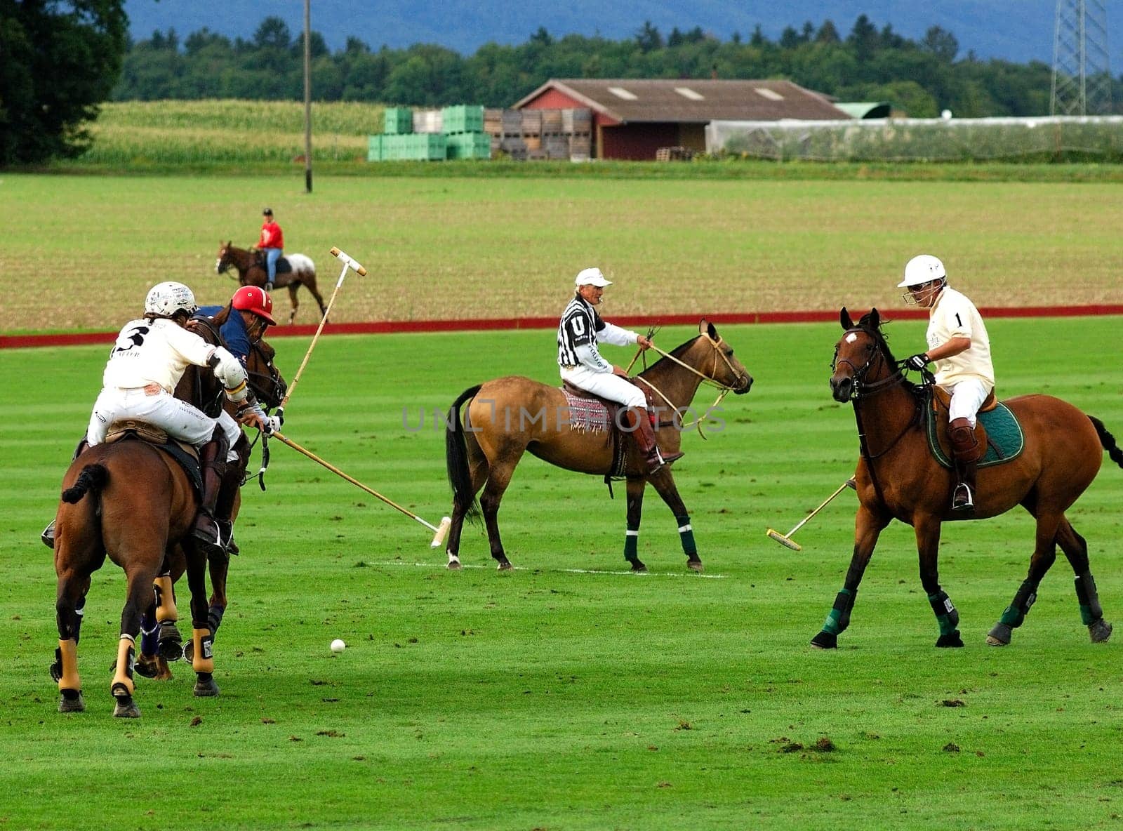 Polo game