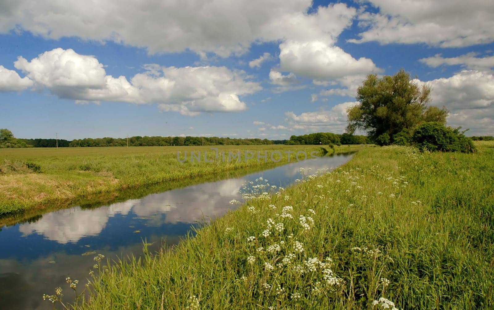 I prefer to spend my free time by bike in our meadows....!