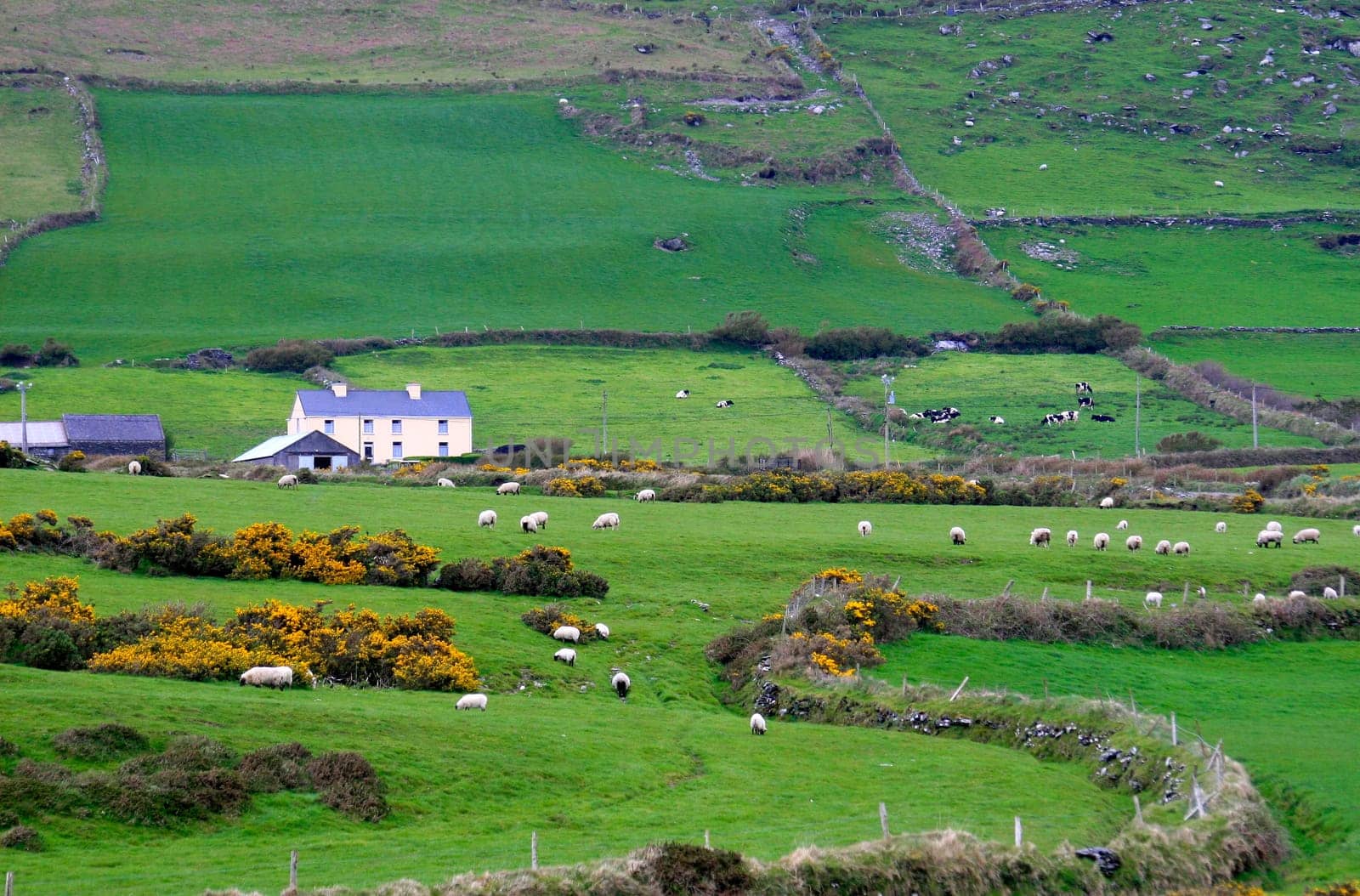 County Kerry,Ireland