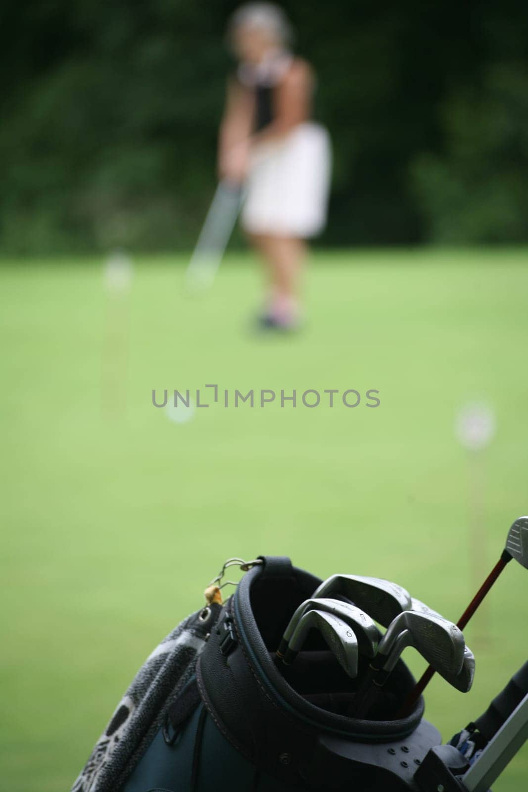 On a golf course