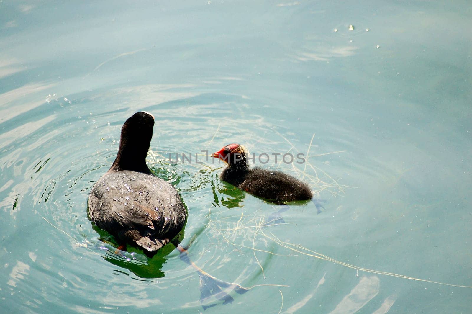 Young diver with mother 2