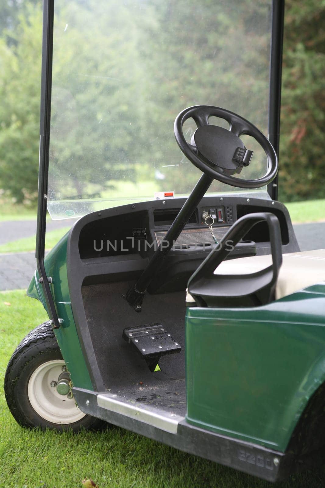 Electric car on a golf course