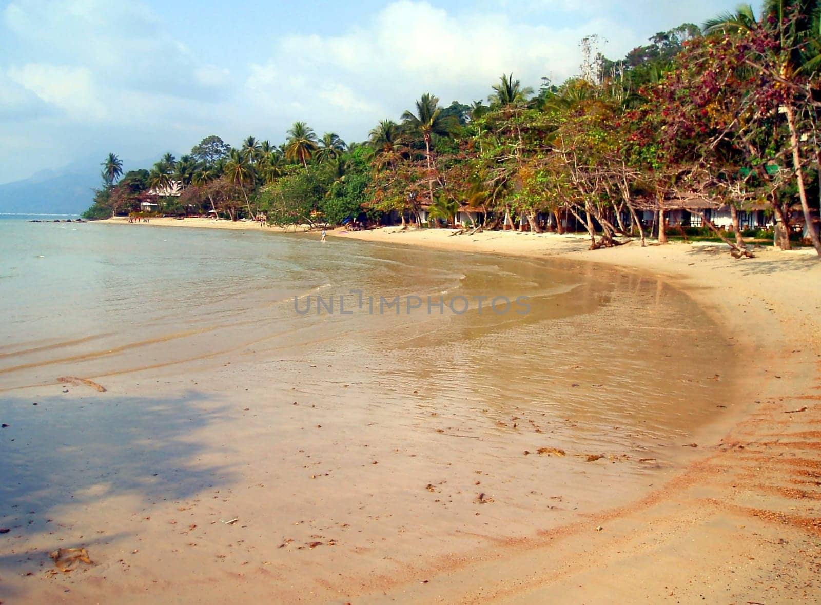 Bay