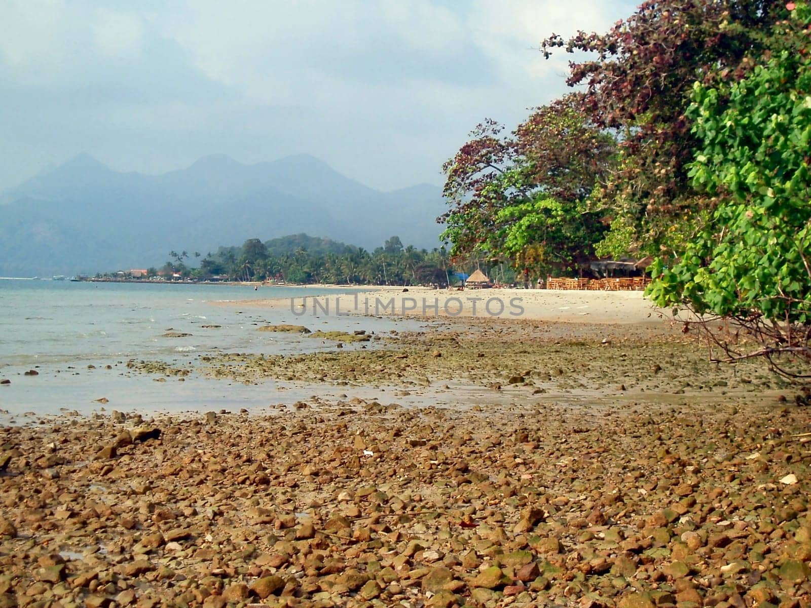 At low tide