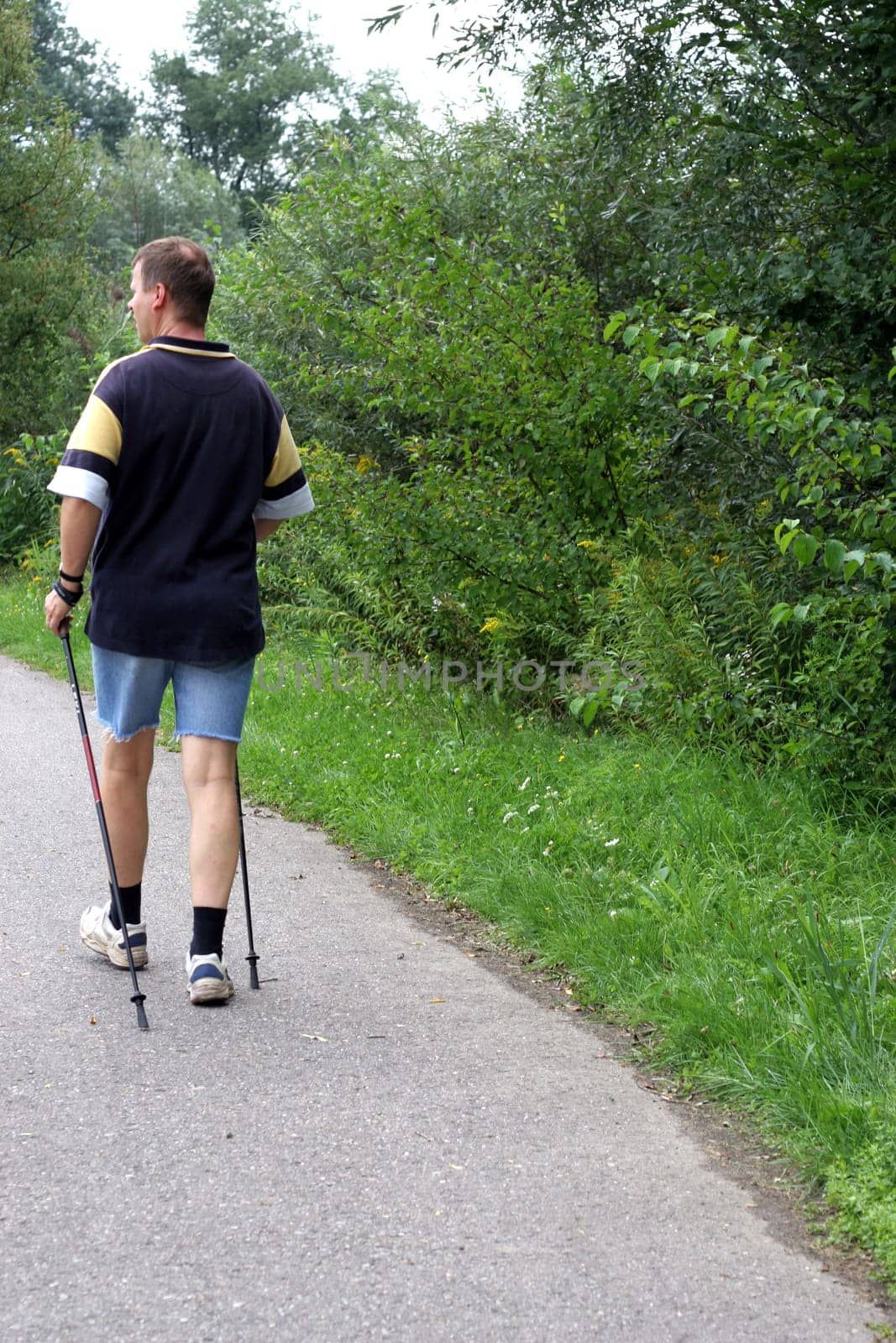 Nordic Walker