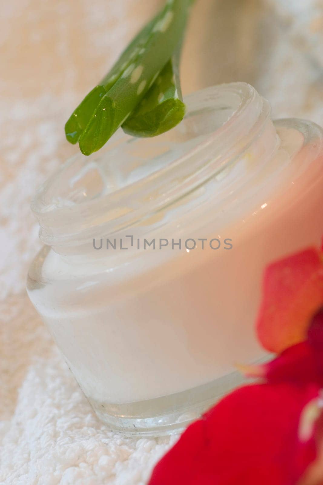 Cream pot with aloe vera