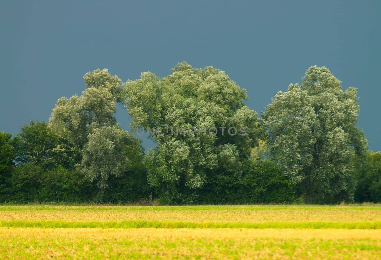 just before a thunderstorm