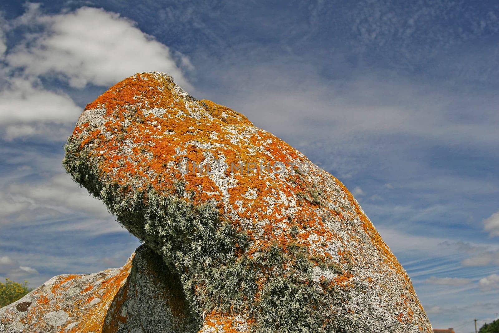 Stone with lichen growth