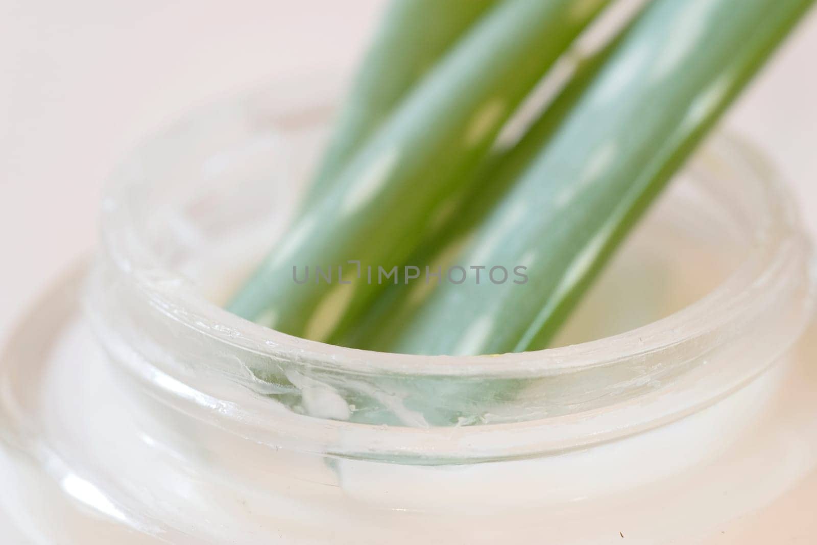 Cream pot with aloe vera
