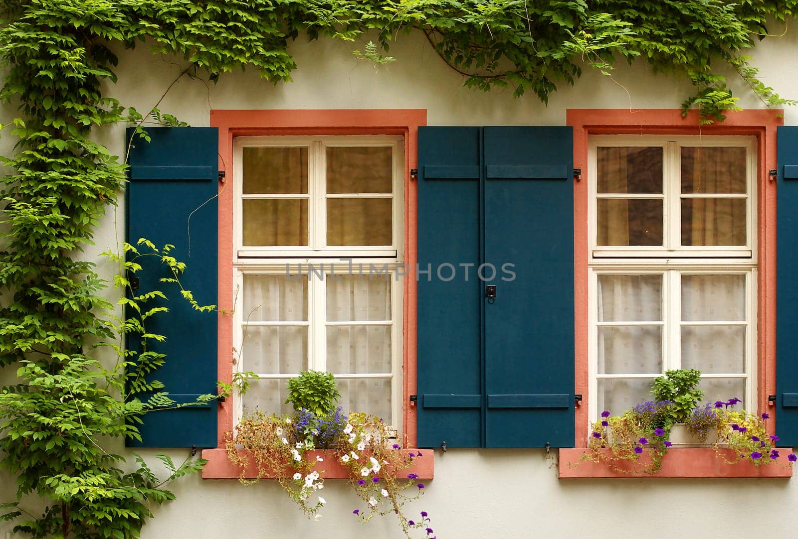 Heidelberg Views