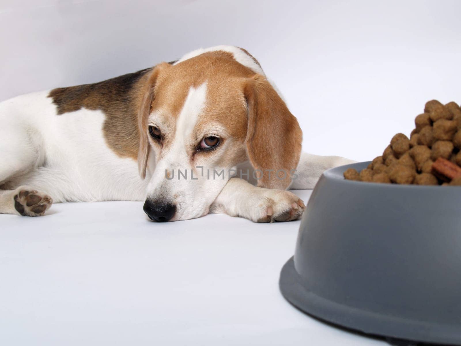 Satiety