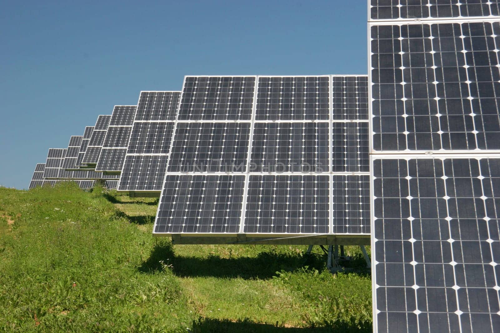 Solar field