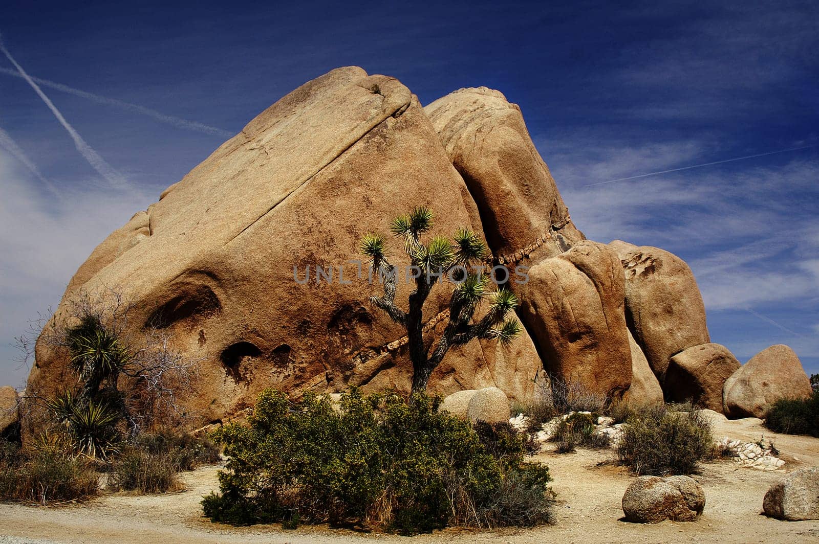 This place is also called the ''Wonderland of Rocks'',rightly so,in my opinion,because there are plenty of these massive brownish boulders there. It is located in the desert of Southern California in Joshua Tree National Park,which