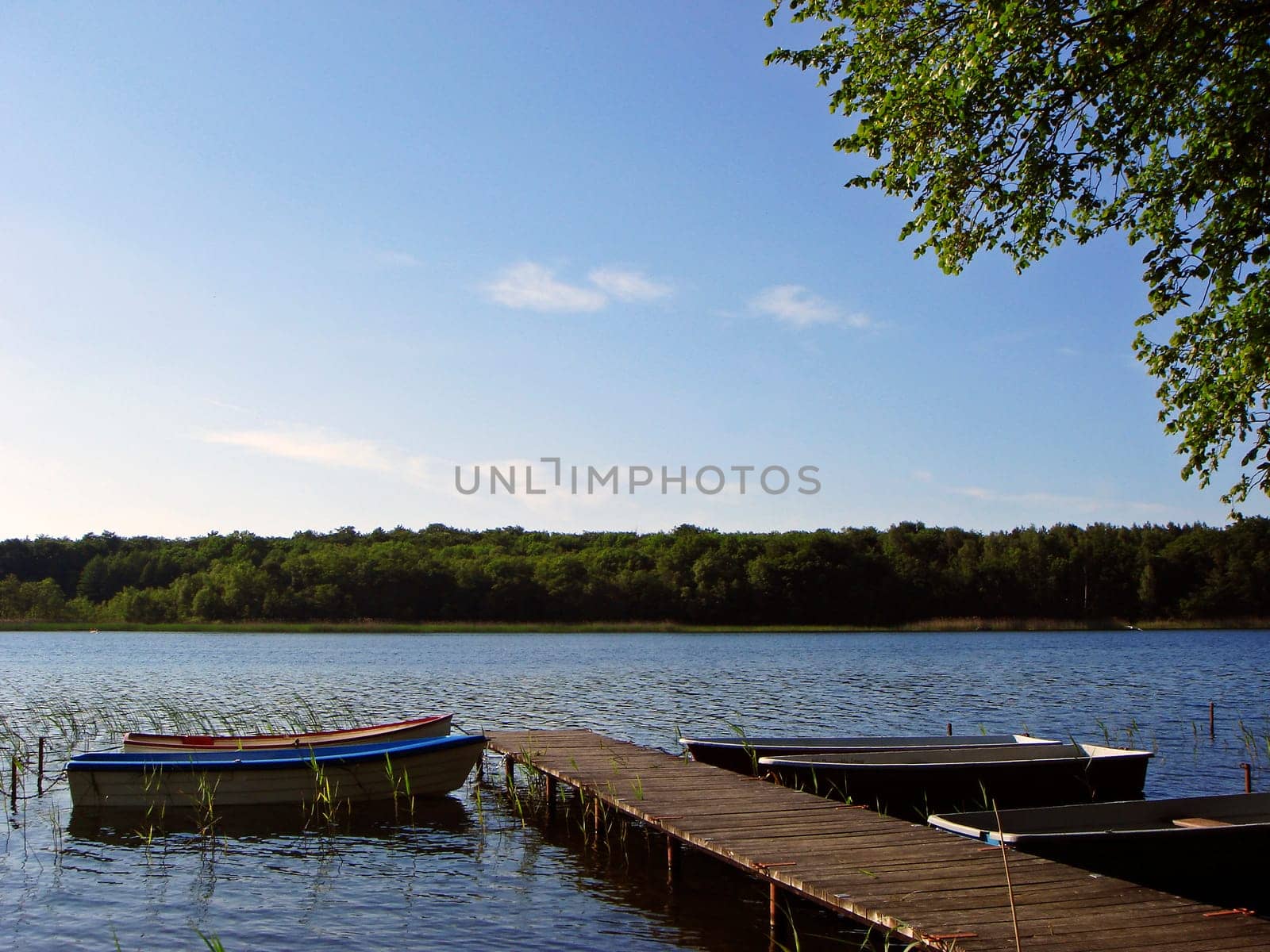 Jetty