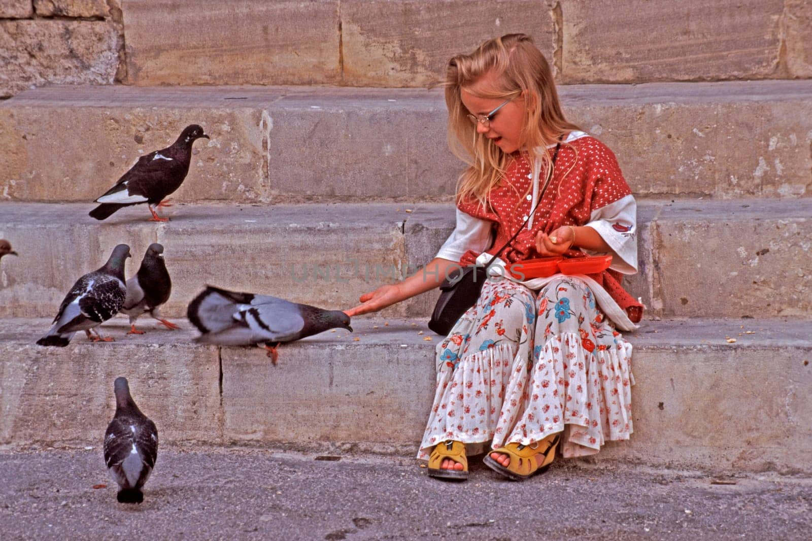 Little girl feeding pigeons