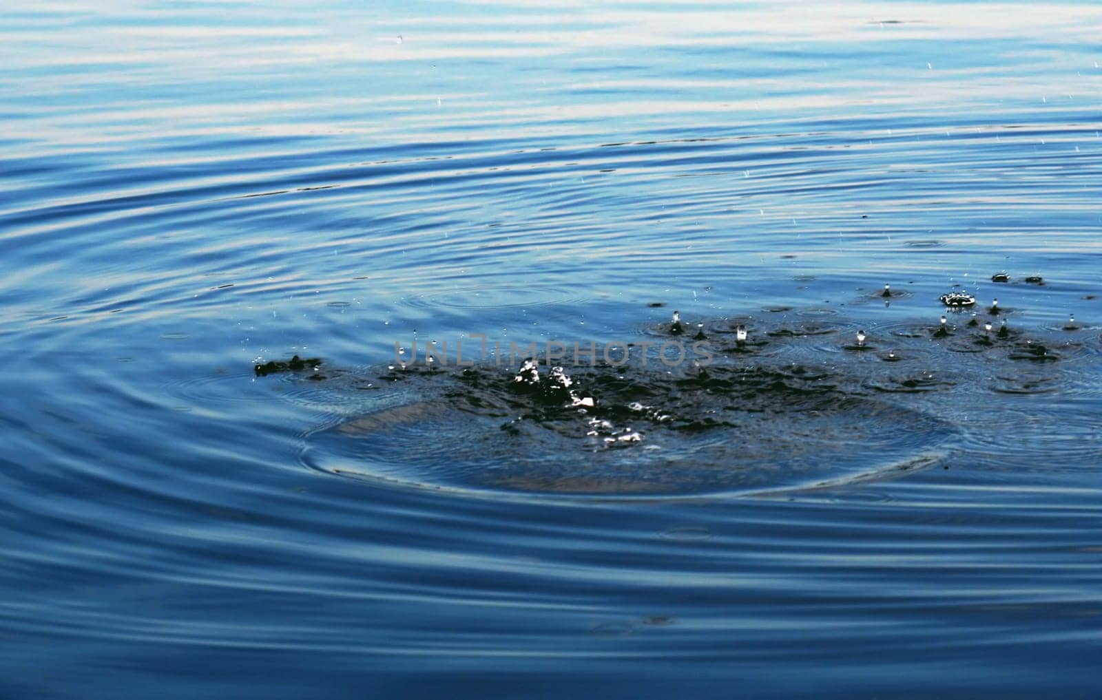 A stone's throw into the water
