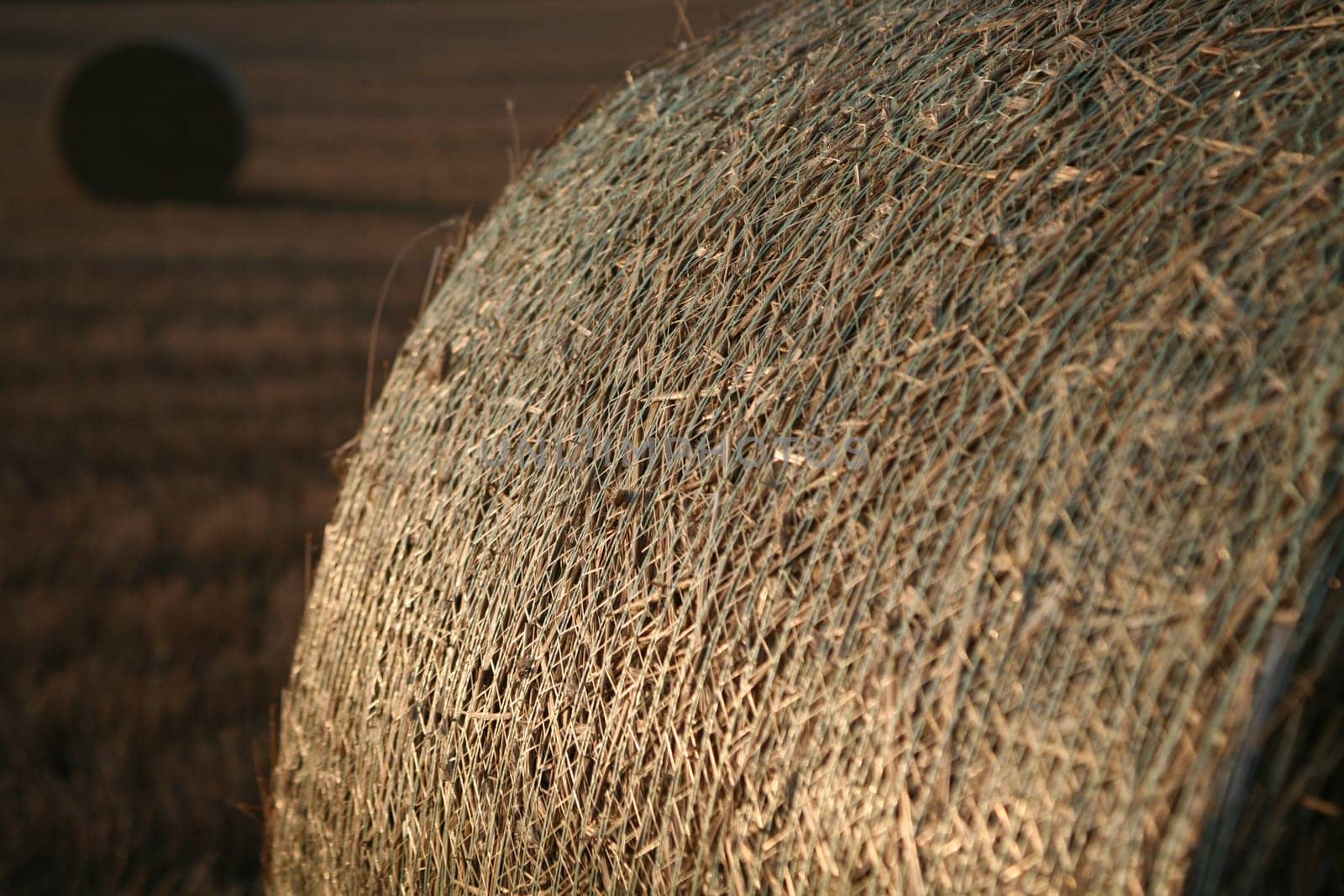Bales on a stubble field