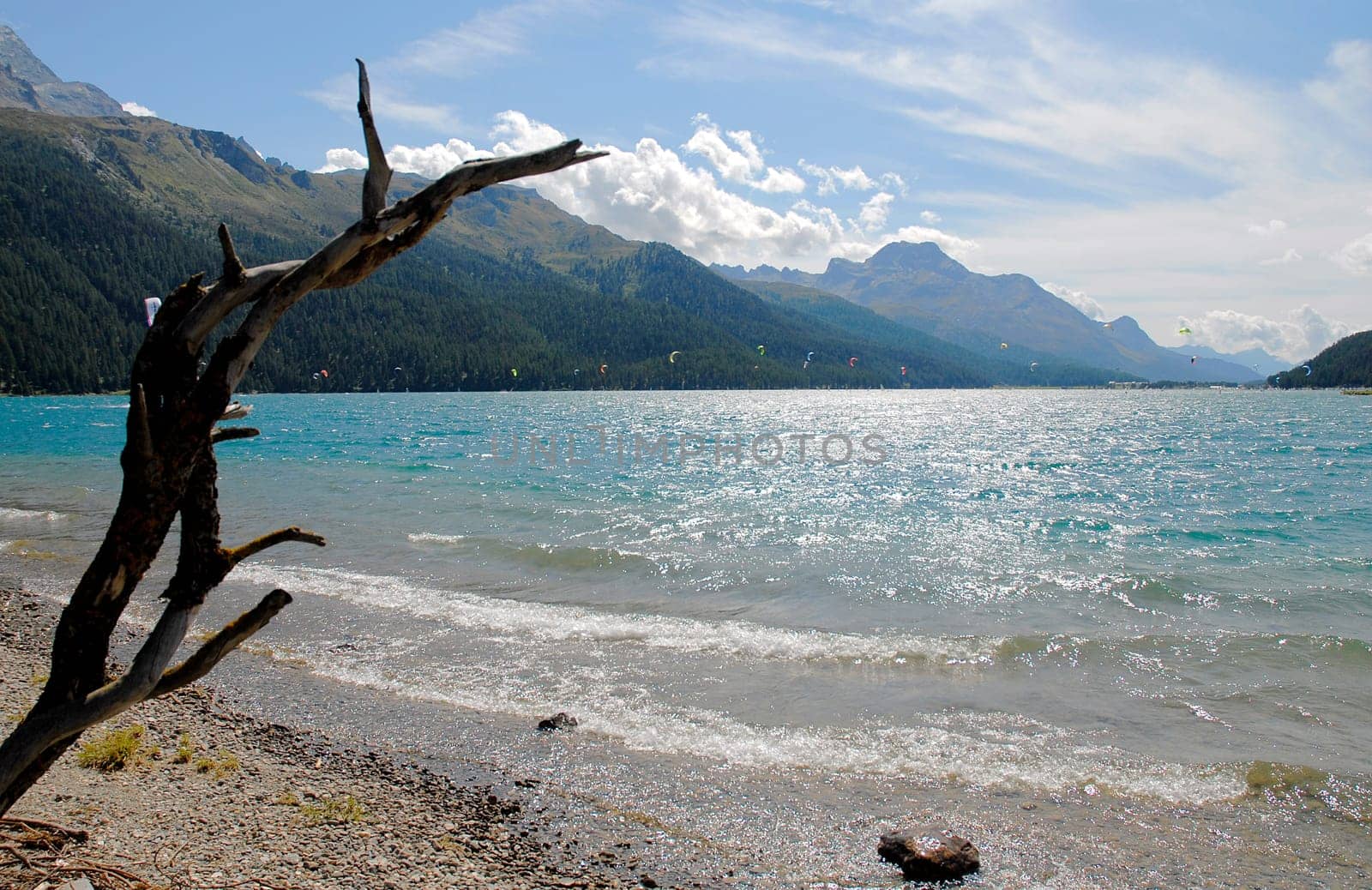 Lake Silvaplana is located in an alpine high valley,the Upper Engadine,on the southern side of the Alps. Between St. Moritz and the Maloja Pass there are three lakes. Lake Silvaplana is the most suitable for windsurfing. Since the lake is located at 1815 meters above sea level,m