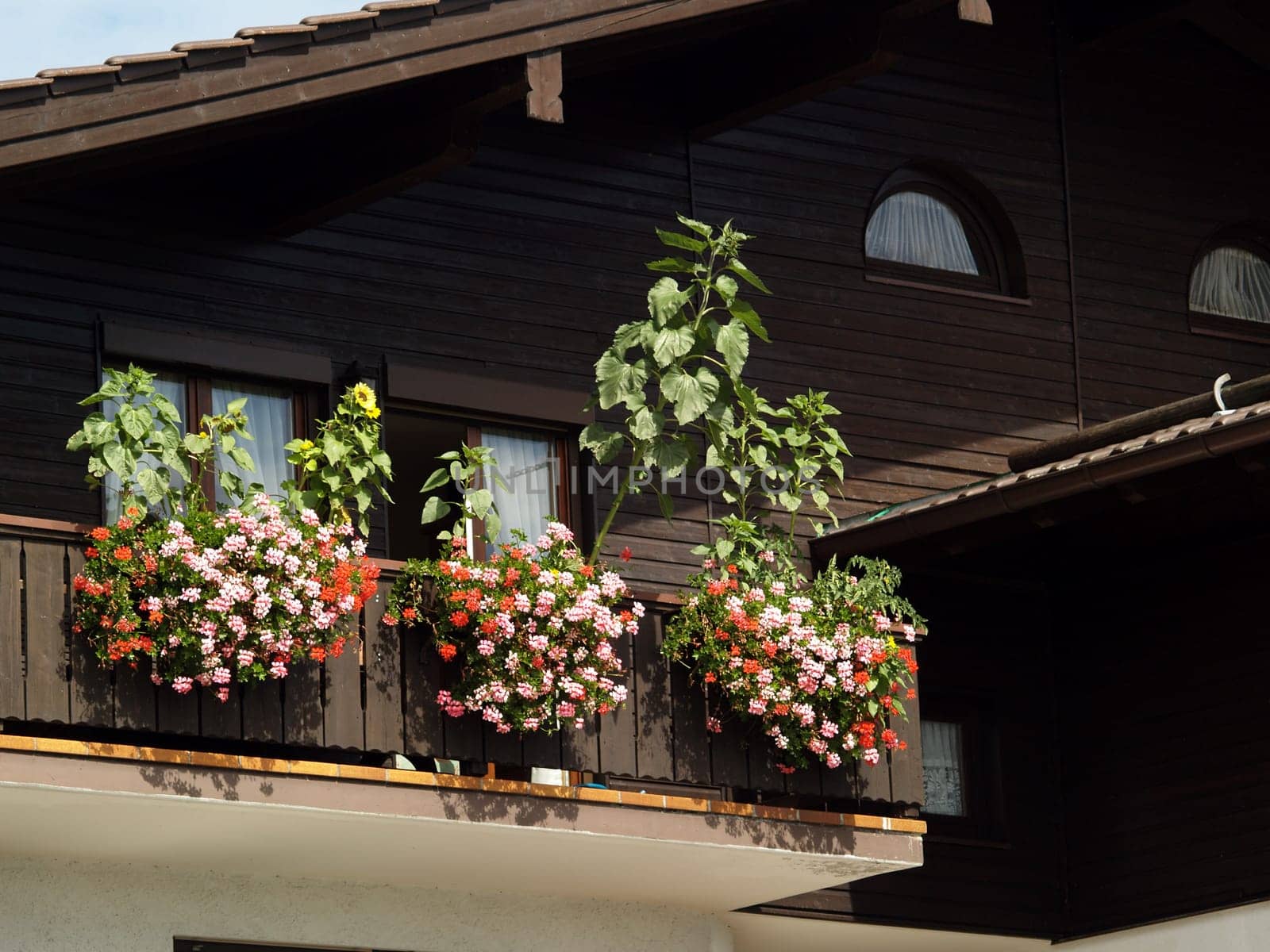 Flower balcony on the Chiemse