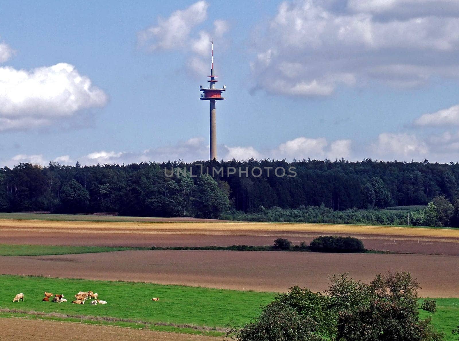 Tower