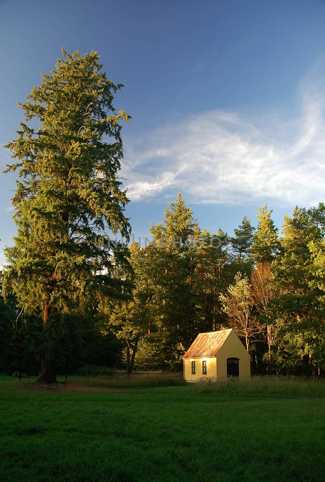 I took the picture in the middle of the forest---while mushroom hunting-----! Unfortunately,I don't know what kind of house it is!